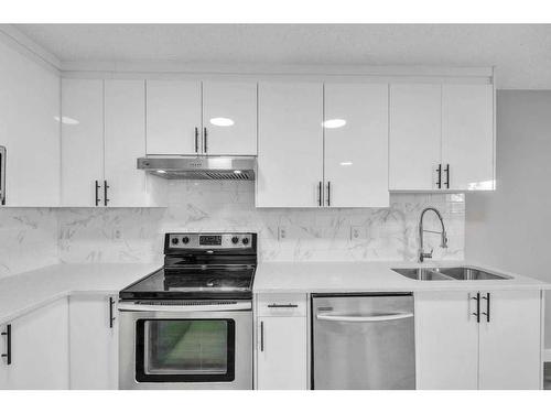 252 Coral Springs Mews Ne, Calgary, AB - Indoor Photo Showing Kitchen With Double Sink With Upgraded Kitchen