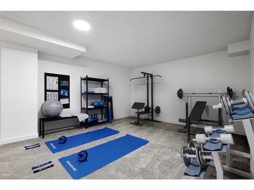 14 Deerview Heights Se, Calgary, AB - Indoor Photo Showing Gym Room