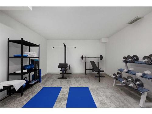 14 Deerview Heights Se, Calgary, AB - Indoor Photo Showing Gym Room