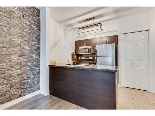 504-315 3 Street Se, Calgary, AB - Indoor Photo Showing Kitchen