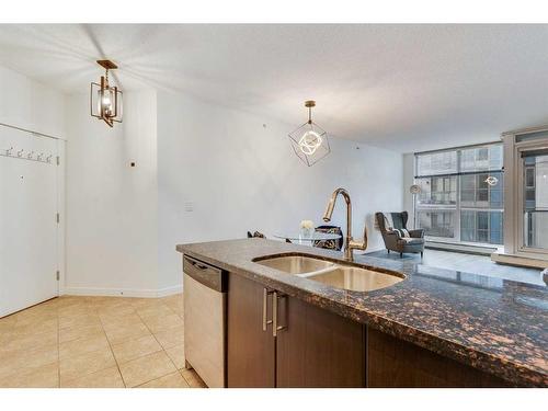 504-315 3 Street Se, Calgary, AB - Indoor Photo Showing Kitchen With Double Sink