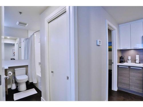 408-235 9A Street Nw, Calgary, AB - Indoor Photo Showing Bathroom