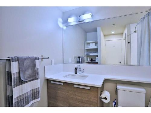 408-235 9A Street Nw, Calgary, AB - Indoor Photo Showing Bathroom