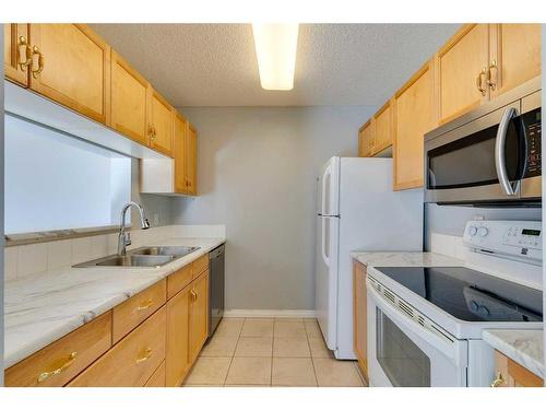 119-2022 Canyon Meadows Drive Se, Calgary, AB - Indoor Photo Showing Kitchen With Double Sink