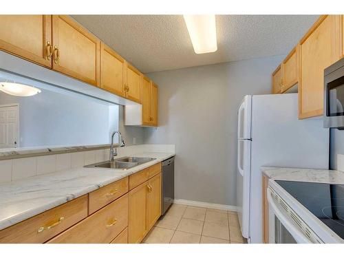 119-2022 Canyon Meadows Drive Se, Calgary, AB - Indoor Photo Showing Kitchen With Double Sink