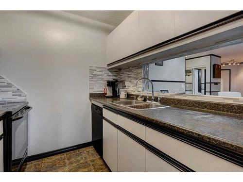 310-20 Dover Point Se, Calgary, AB - Indoor Photo Showing Kitchen With Double Sink