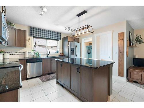 11 Skyview Ranch Lane Ne, Calgary, AB - Indoor Photo Showing Kitchen With Upgraded Kitchen