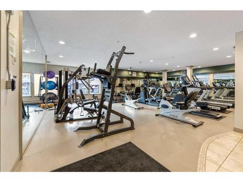 438-20 Discovery Ridge Close Sw, Calgary, AB - Indoor Photo Showing Gym Room