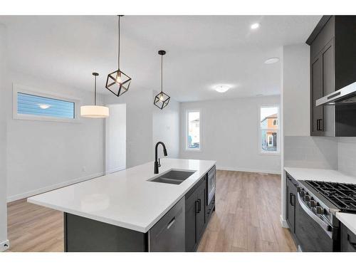 14620 24 Street Nw, Calgary, AB - Indoor Photo Showing Kitchen With Double Sink With Upgraded Kitchen