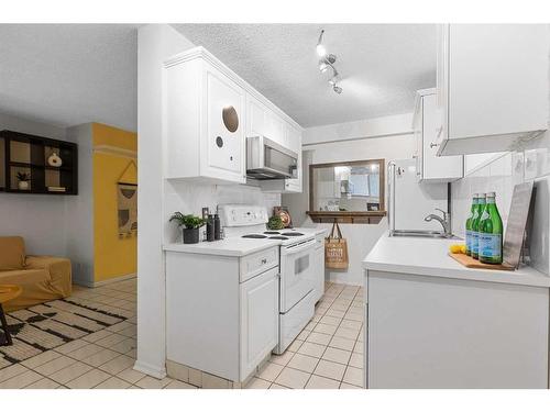 101-836 4 Avenue Nw, Calgary, AB - Indoor Photo Showing Kitchen With Double Sink