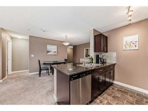 3101-1317 27 Street Se, Calgary, AB - Indoor Photo Showing Kitchen With Double Sink