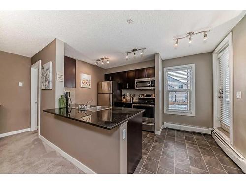 3101-1317 27 Street Se, Calgary, AB - Indoor Photo Showing Kitchen With Double Sink