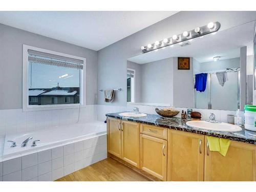 63 New Brighton Close Se, Calgary, AB - Indoor Photo Showing Bathroom