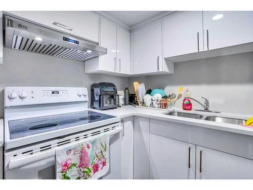 63 New Brighton Close Se, Calgary, AB - Indoor Photo Showing Kitchen With Double Sink