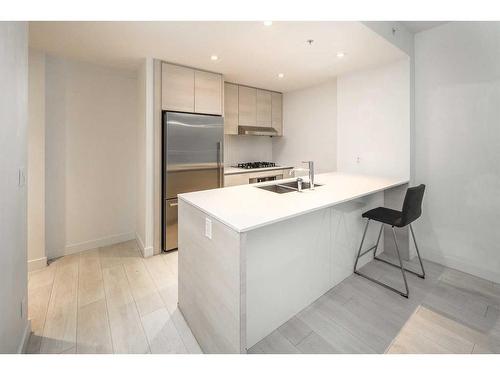 408-1501 6 Street Sw, Calgary, AB - Indoor Photo Showing Kitchen With Double Sink