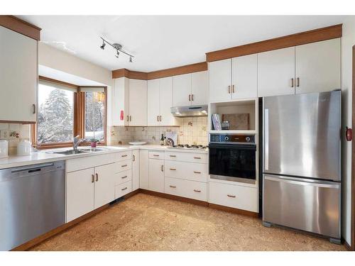 4719 Vanguard Place Nw, Calgary, AB - Indoor Photo Showing Kitchen With Double Sink