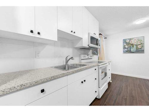 442-406 Blackthorn Road Ne, Calgary, AB - Indoor Photo Showing Kitchen With Double Sink