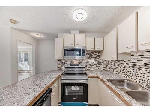 12-2812 Edenwold Heights Nw, Calgary, AB - Indoor Photo Showing Kitchen With Double Sink