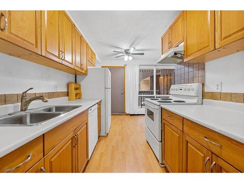 10-3519 49 Street Nw, Calgary, AB - Indoor Photo Showing Kitchen With Double Sink