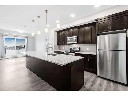 330-20 Seton Park Se, Calgary, AB - Indoor Photo Showing Kitchen With Double Sink With Upgraded Kitchen