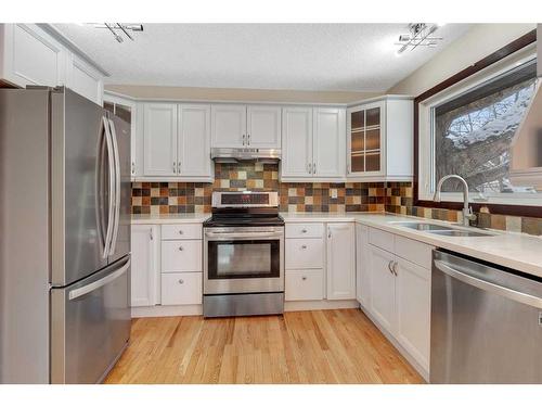 6724 Silverdale Road Nw, Calgary, AB - Indoor Photo Showing Kitchen With Double Sink