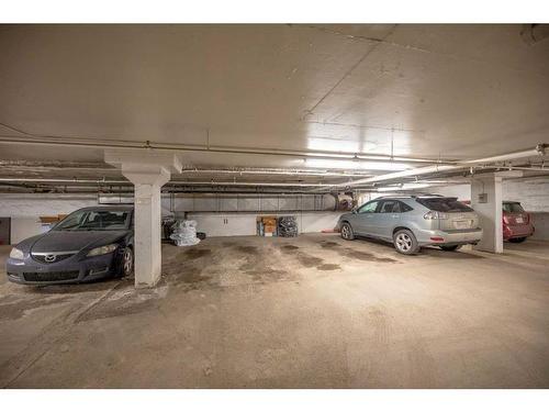 203-511 56 Avenue Sw, Calgary, AB - Indoor Photo Showing Garage