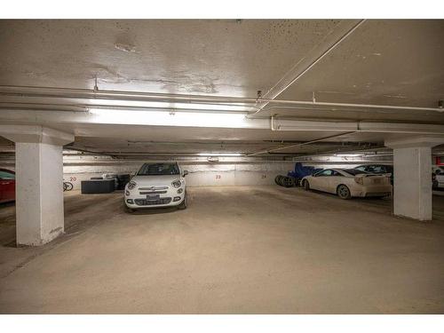 203-511 56 Avenue Sw, Calgary, AB - Indoor Photo Showing Garage