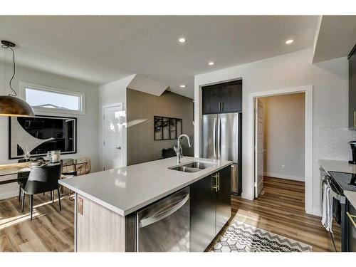 644 Buffaloberry Manor Se, Calgary, AB - Indoor Photo Showing Kitchen With Stainless Steel Kitchen With Double Sink With Upgraded Kitchen