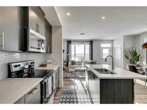 644 Buffaloberry Manor Se, Calgary, AB - Indoor Photo Showing Kitchen With Double Sink With Upgraded Kitchen