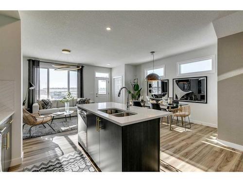 644 Buffaloberry Manor Se, Calgary, AB - Indoor Photo Showing Kitchen With Double Sink