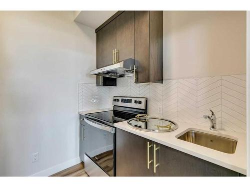 644 Buffaloberry Manor Se, Calgary, AB - Indoor Photo Showing Kitchen