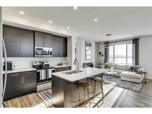 644 Buffaloberry Manor Se, Calgary, AB - Indoor Photo Showing Kitchen With Stainless Steel Kitchen With Double Sink With Upgraded Kitchen