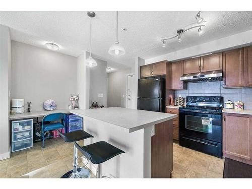 208-120 Country Village Circle Ne, Calgary, AB - Indoor Photo Showing Kitchen