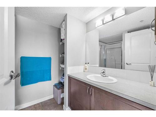 208-120 Country Village Circle Ne, Calgary, AB - Indoor Photo Showing Bathroom