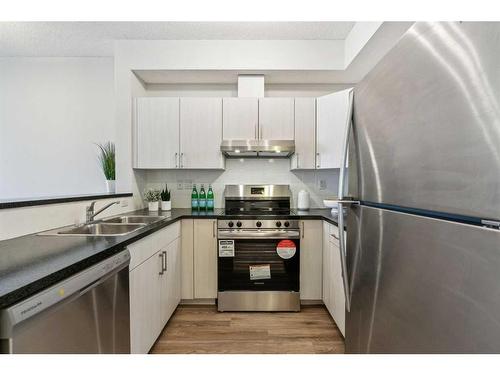 306-1000 15 Avenue Sw, Calgary, AB - Indoor Photo Showing Kitchen With Double Sink