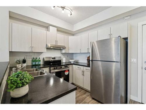 306-1000 15 Avenue Sw, Calgary, AB - Indoor Photo Showing Kitchen With Double Sink