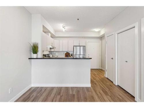 306-1000 15 Avenue Sw, Calgary, AB - Indoor Photo Showing Kitchen