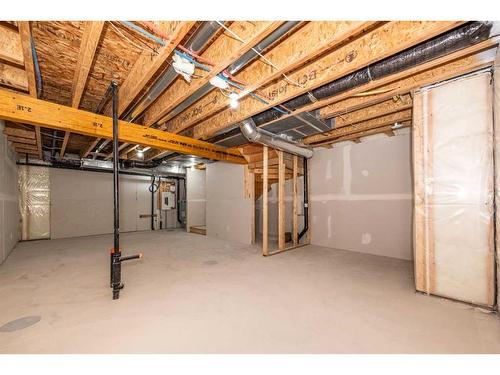 418-137 Red Embers Link Ne, Calgary, AB - Indoor Photo Showing Basement