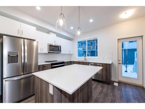 418-137 Red Embers Link Ne, Calgary, AB - Indoor Photo Showing Kitchen With Stainless Steel Kitchen With Upgraded Kitchen