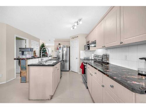 46 Copperfield Terrace Se, Calgary, AB - Indoor Photo Showing Kitchen