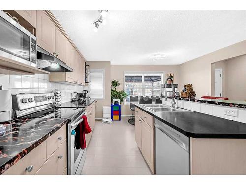 46 Copperfield Terrace Se, Calgary, AB - Indoor Photo Showing Kitchen With Double Sink