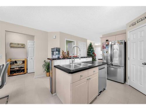 46 Copperfield Terrace Se, Calgary, AB - Indoor Photo Showing Kitchen With Double Sink