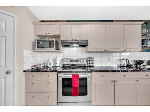 46 Copperfield Terrace Se, Calgary, AB - Indoor Photo Showing Kitchen