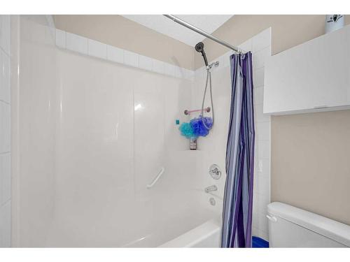 46 Copperfield Terrace Se, Calgary, AB - Indoor Photo Showing Bathroom