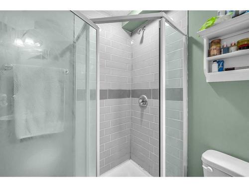 46 Copperfield Terrace Se, Calgary, AB - Indoor Photo Showing Bathroom