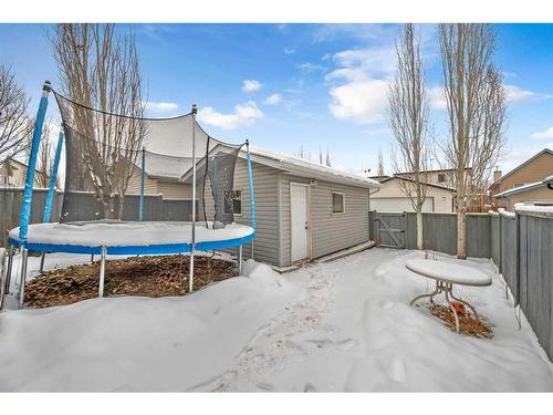 46 Copperfield Terrace Se, Calgary, AB - Outdoor