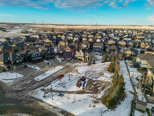 117 Aspenmere Bay, Chestermere, AB - Outdoor With View