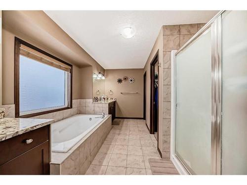 473 Marina Drive, Chestermere, AB - Indoor Photo Showing Bathroom