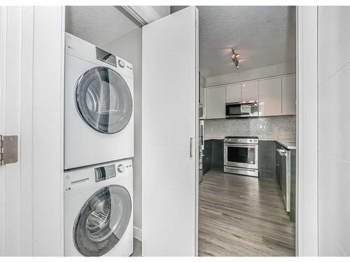 3318-95 Burma Star Road Sw, Calgary, AB - Indoor Photo Showing Laundry Room