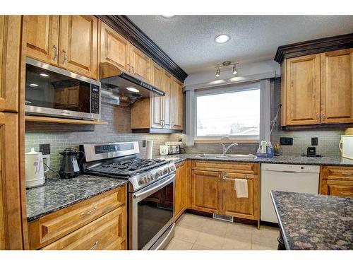 3227 41 Street Se, Calgary, AB - Indoor Photo Showing Kitchen With Double Sink